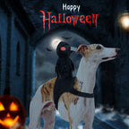 Dog Dark Harvesting Knight Transforms into Pet Costume for Halloween