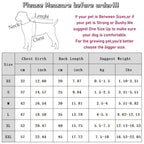 Dog Clothes, Autumn And Winter Striped Animal Base Shirts, Teddy Bichon Frise, Small And Medium-sized Dog, Cat Two-legged Pet Clothes