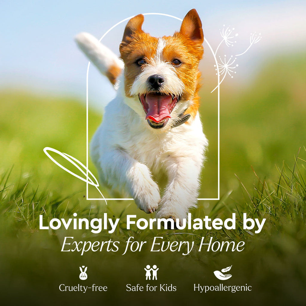 Pet Stain & Odor Remover