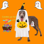 Dog Cat Halloween Pumpkin Ghost Costume Funny Cute Pet Outfit Medium